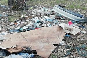 Около 1,2 тыс нарушений чистоты устранили в Подмосковье за майские праздники