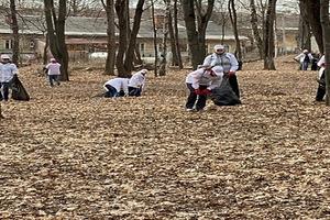 Территорию Подмосковья приведут в порядок к началу майских праздников