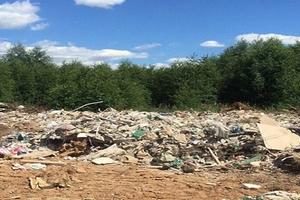 В Подмосковье в 2019 году стало меньше незаконных свалок