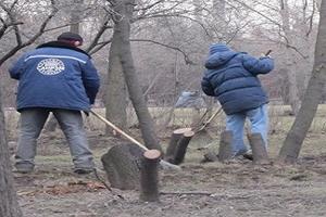 Стандарты благоустройства российских городов могут появиться к 2018 году