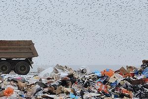 Плата за мусор: что нужно знать о новой коммунальной услуге