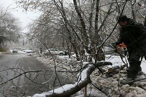Жители Подмосковья смогут благоустроить собственный двор в три шага