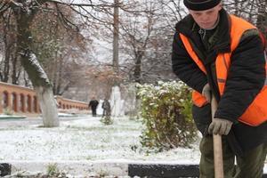 Общественный контроль за содержанием дворов и парков усилили в Подмосковье