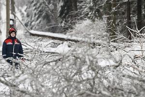 Воробьев поручил поощрить участников ликвидации последствий ледяного дождя в Подмосковье
