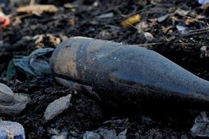 Изменения в законе об СНТ не освобождают дачников Подмосковья от ответственности за мусор