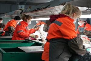 Подмосковье решает проблему утилизации мусора совместно с Москвой и правительством РФ