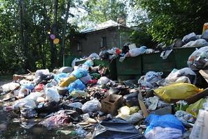 Депутаты Мособлдумы войдут в состав мобильных групп по мониторингу незаконных свалок