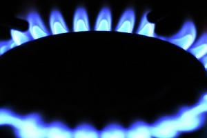 Депутат Мособлдумы уверен, что техобслуживание газовых приборов гарантирует безопасность